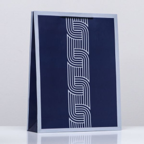 Пакет подарочный Деловые линии, синий, 33*42,5*10 см.